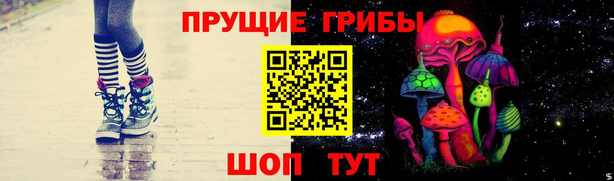 Псилоцибиновые грибы MAGIC MUSHROOMS  Вход с VPN  Камышин 
